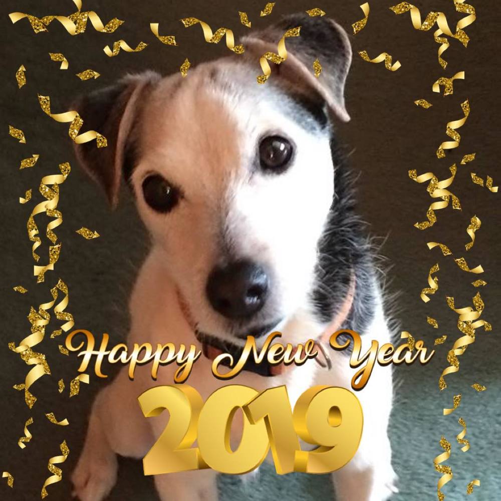 Meet your Posher, Cathy